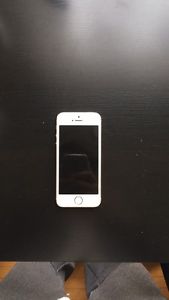 iPhone 5s 16GB amazing condition - Telus