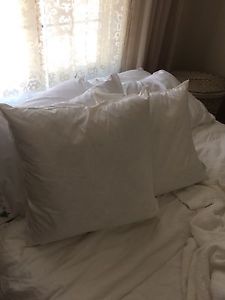 Feather pillow inserts