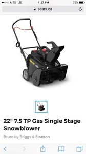 Wanted: Snowblower 22"