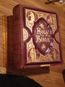 Huge minty condition  parallel bible