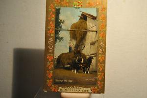 STORING THE HAY, POSTCARD, CANADA, CANADIAN HOMESTEAD LIFE,