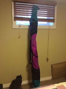 Ski bag