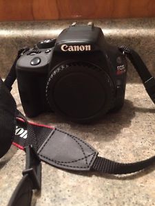 Canon EOS Rebel SL1 With MM STM Lens