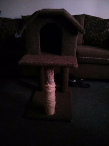 Cat house