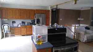 Kitchen cabinets