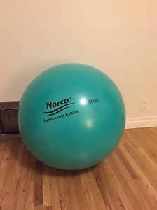 Norco 65 cm Anti Burst Exercise Ball