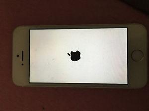 Silver iPhone 5s (may trade for a laptop)