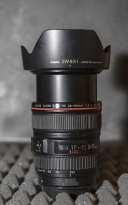 Canon L IS Lens