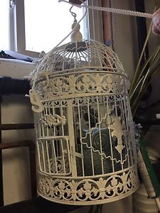 Decor hanging cage for decoration