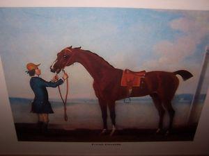 "FLYING CHILDERS" PRINT by JAMES SEYMOUR.A BEAUTY! 16" x