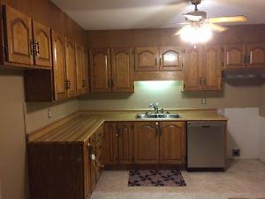 Kitchen Cabinets