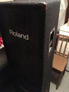 Roland 12 inch
