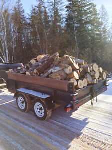 Seasoned Maple Firewood