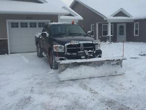 Snow Dog Plow