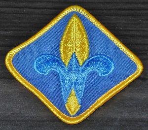 US Senior Cub Badge
