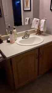bathroom vanity and cabinet