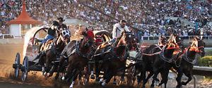 3 TICKETS TO CALGARY STAMPEDE CHUCKWAGON AND GRANDSTAND