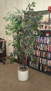 6ft Decorative Indoor Tree