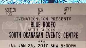 Blue rodeo