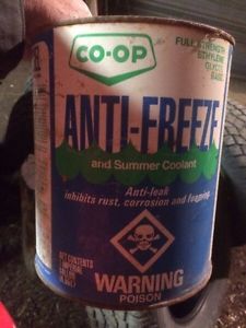 Co-op Antifreeze Gallons