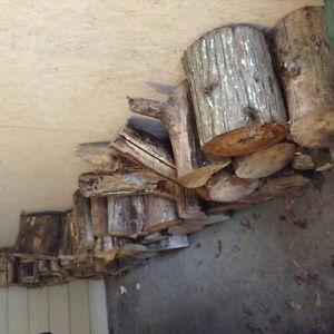 Fire wood,mostly maple