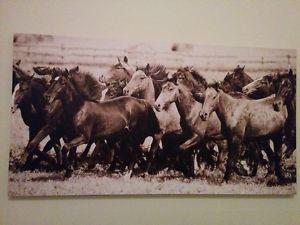 Framed canvas - WILD HORSES