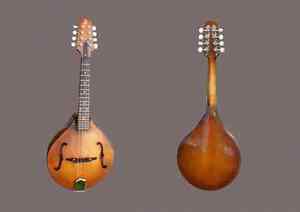 Wanted: I'm looking for a mandolin