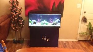 40 gallon aquarium with stand and accessories