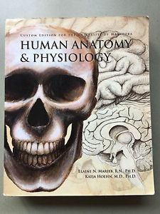Anatomy & Physiology 