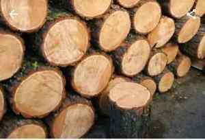 DRY FIREWOOD FOR SALE