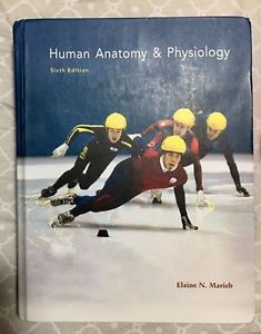 Human Anatomy & Physiology 6th ed