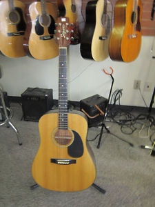 SEGOVIA 6 String Acoustic Guitar For Sale