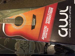 New Washburn Acoustic Guitar