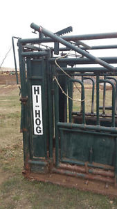 Hi Hog Cattle Squeeze