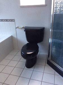Kohler black bathroom fixtures