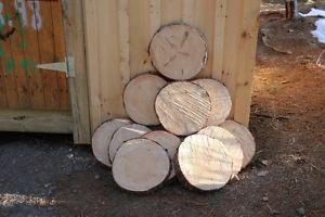 "Red Pine Slices" 14" to 17" across " thick.