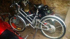 Strong 250 electric pedal bike