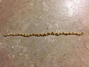 Amber teething necklace