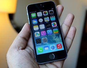 Apple iPhone 5S 16GB Fido Space Gray