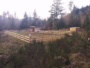 Cedar Fencing and Shelter