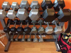 Home Gym Dumbells 584 pounds from 5 to 75 pounds set