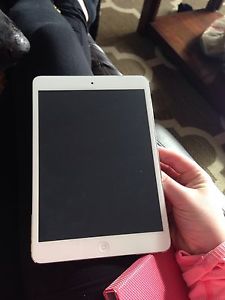 iPad Mini