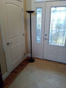 Black Halogen Floor Pole Lamp