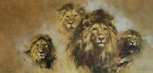 David Shepherd Lion Majesty Print