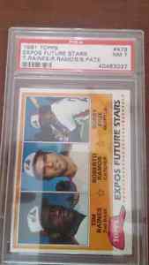 Tim raines rookie