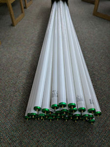 8' Fluorescent tubes. 60W T12 CW Buy 46 for the price of 12.