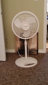 Fan