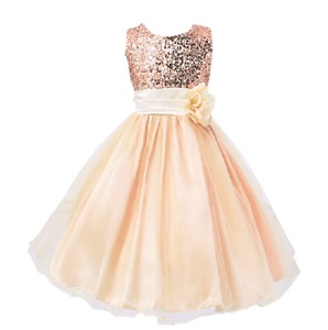 Girls special occasion dress