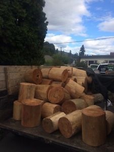 Pine/cedar firewood