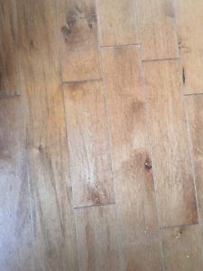 Quality 3/4 Maple hardwood flooring $1.43 per sqft amazing
